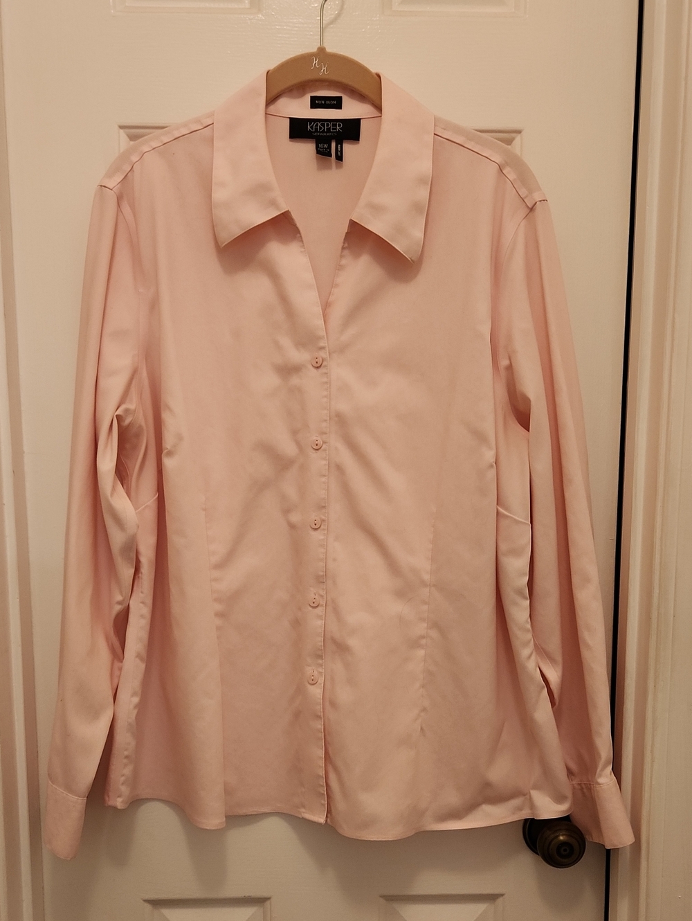 Kasper Oxford Cloth Blouse - Size 16W